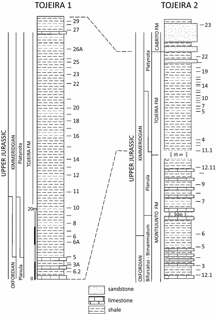 Fig. 7