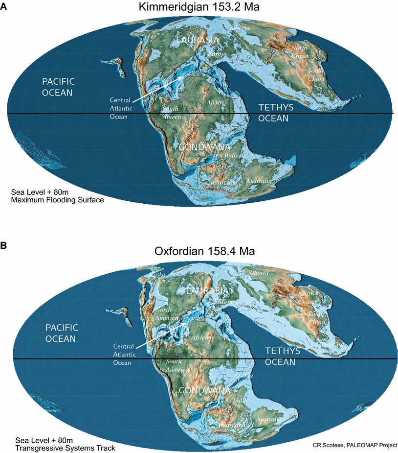 Fig. 6