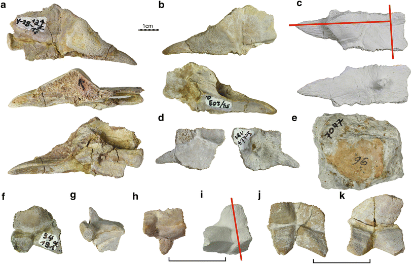 Fig. 10