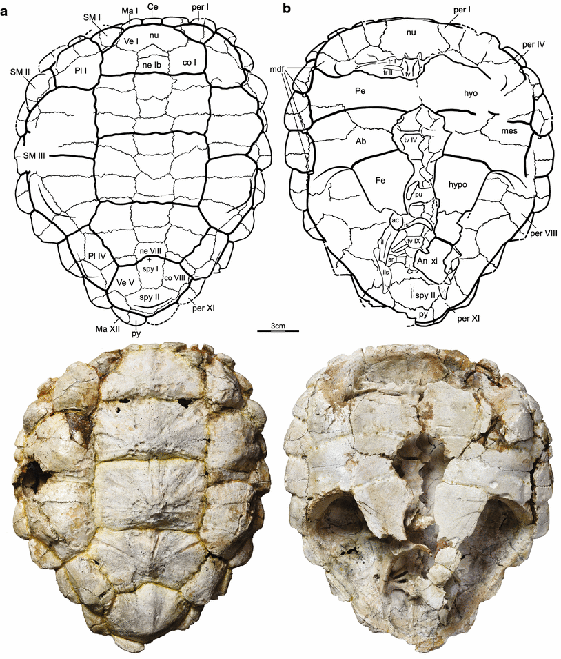 Fig. 1