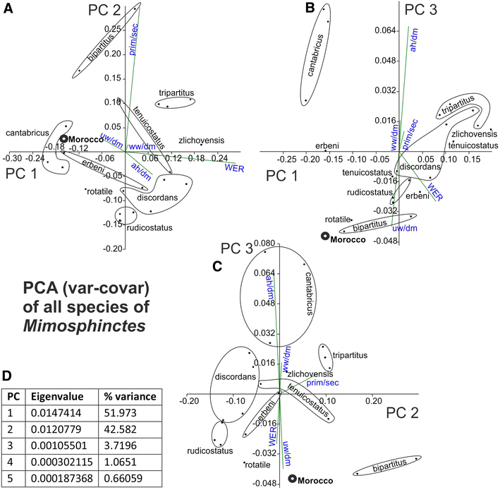 Fig. 5