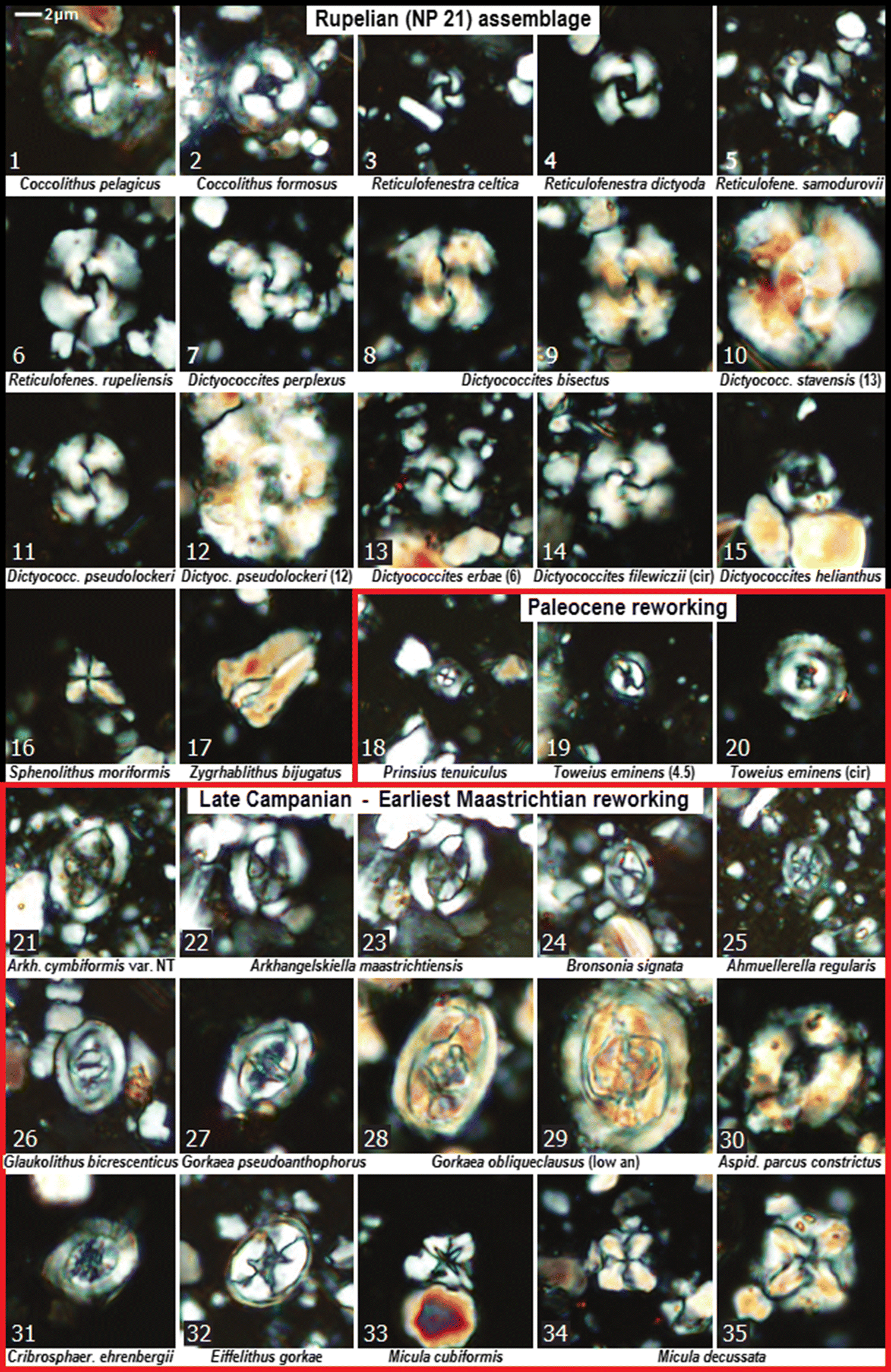 Fig. 8