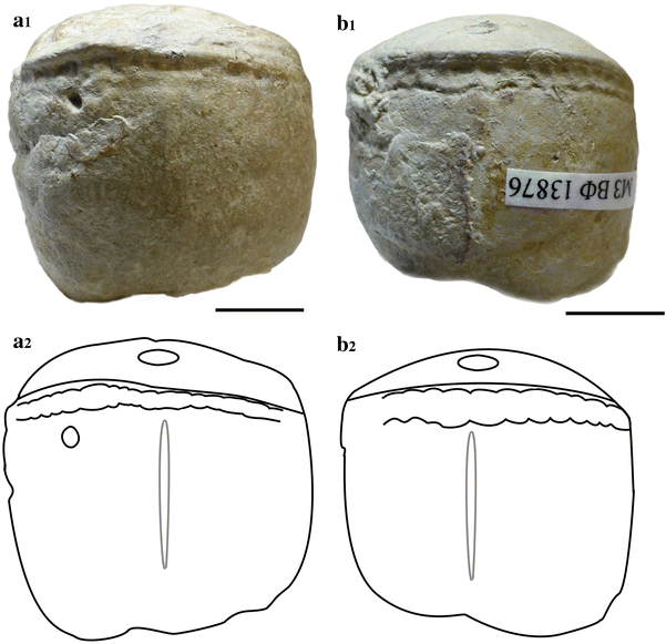 Fig. 4