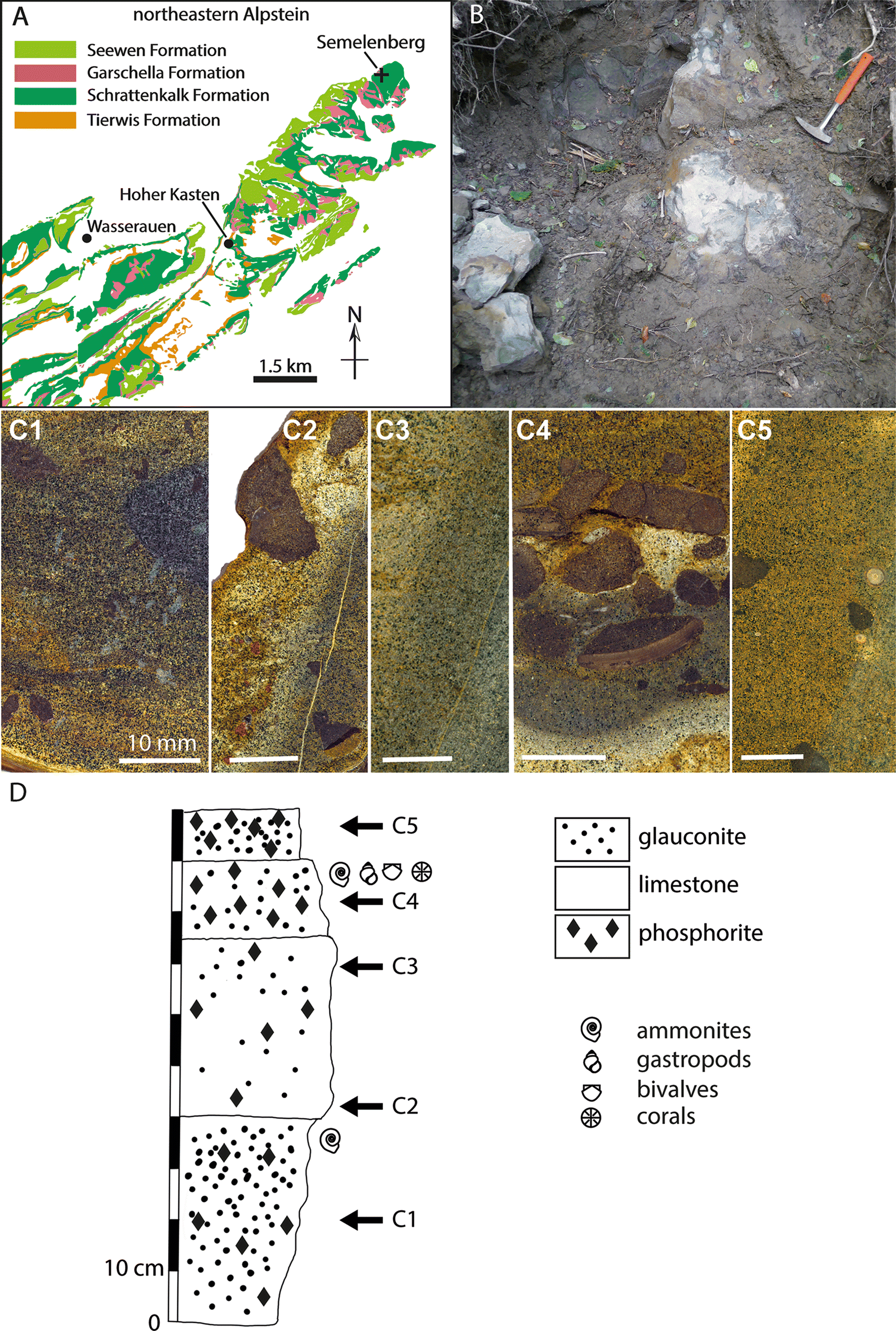 Fig. 1