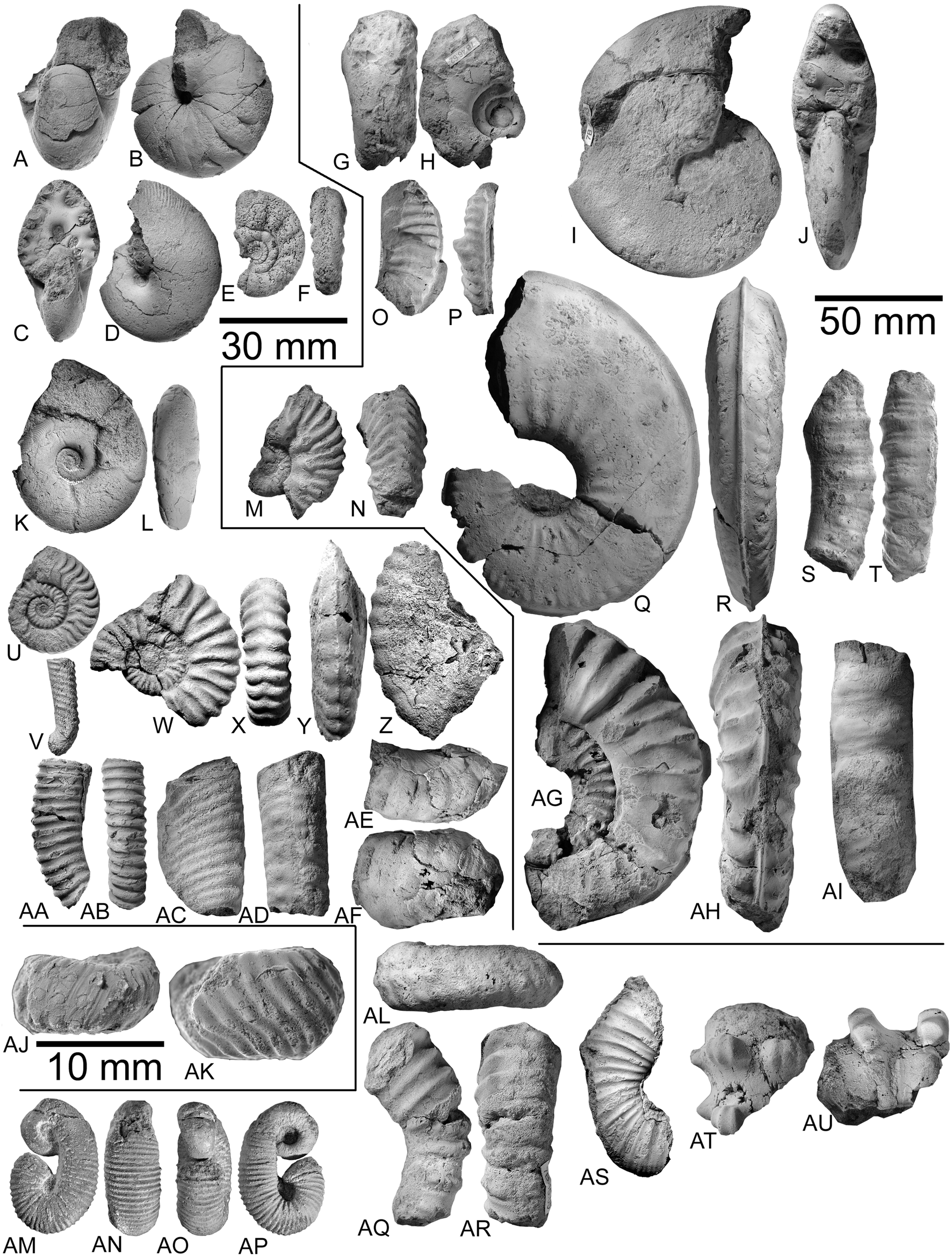 Fig. 2