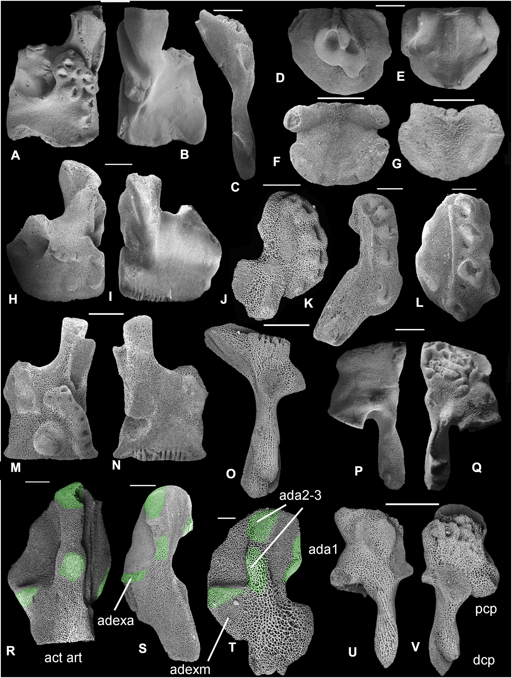 Fig. 11