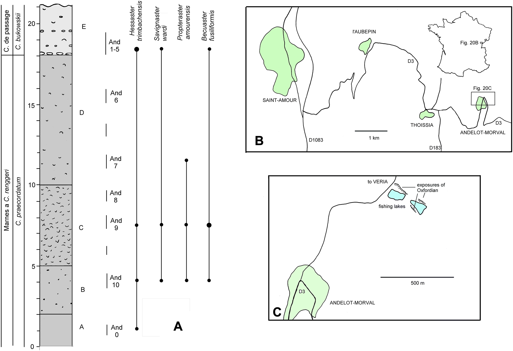 Fig. 20