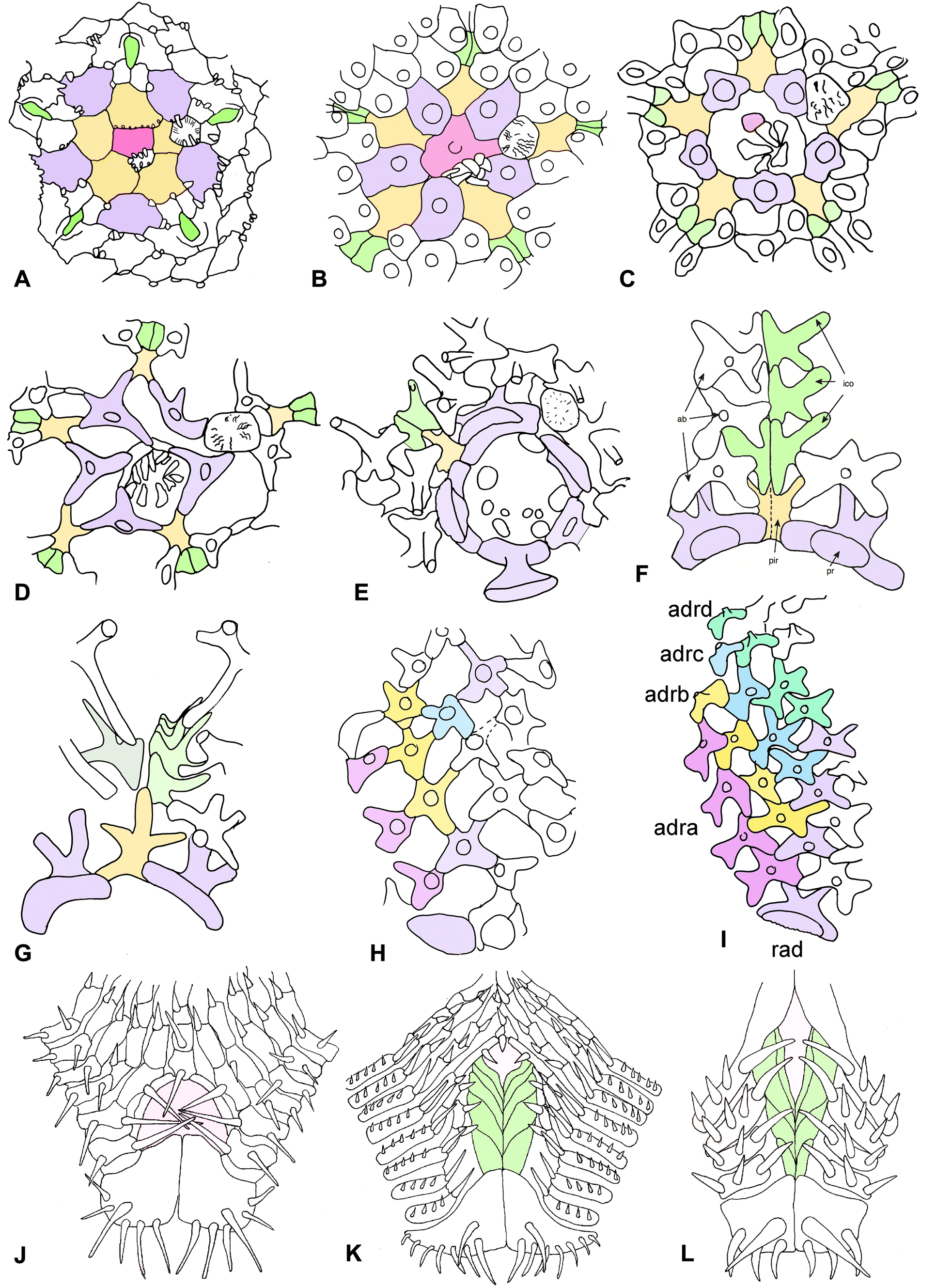 Fig. 4