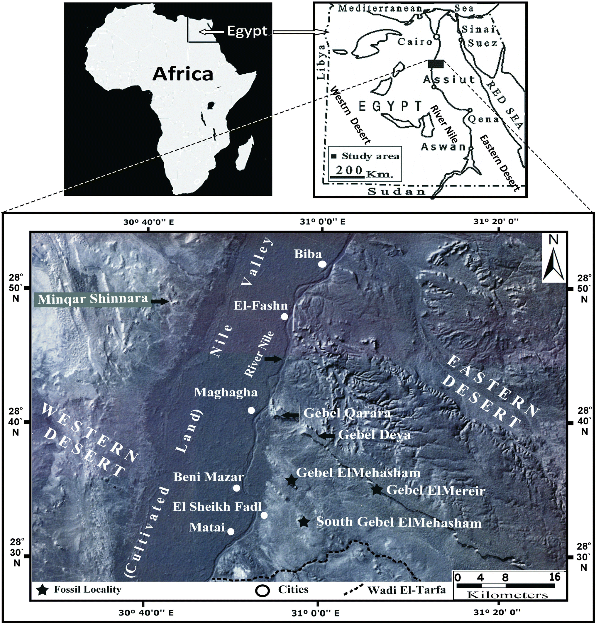 Fig. 1