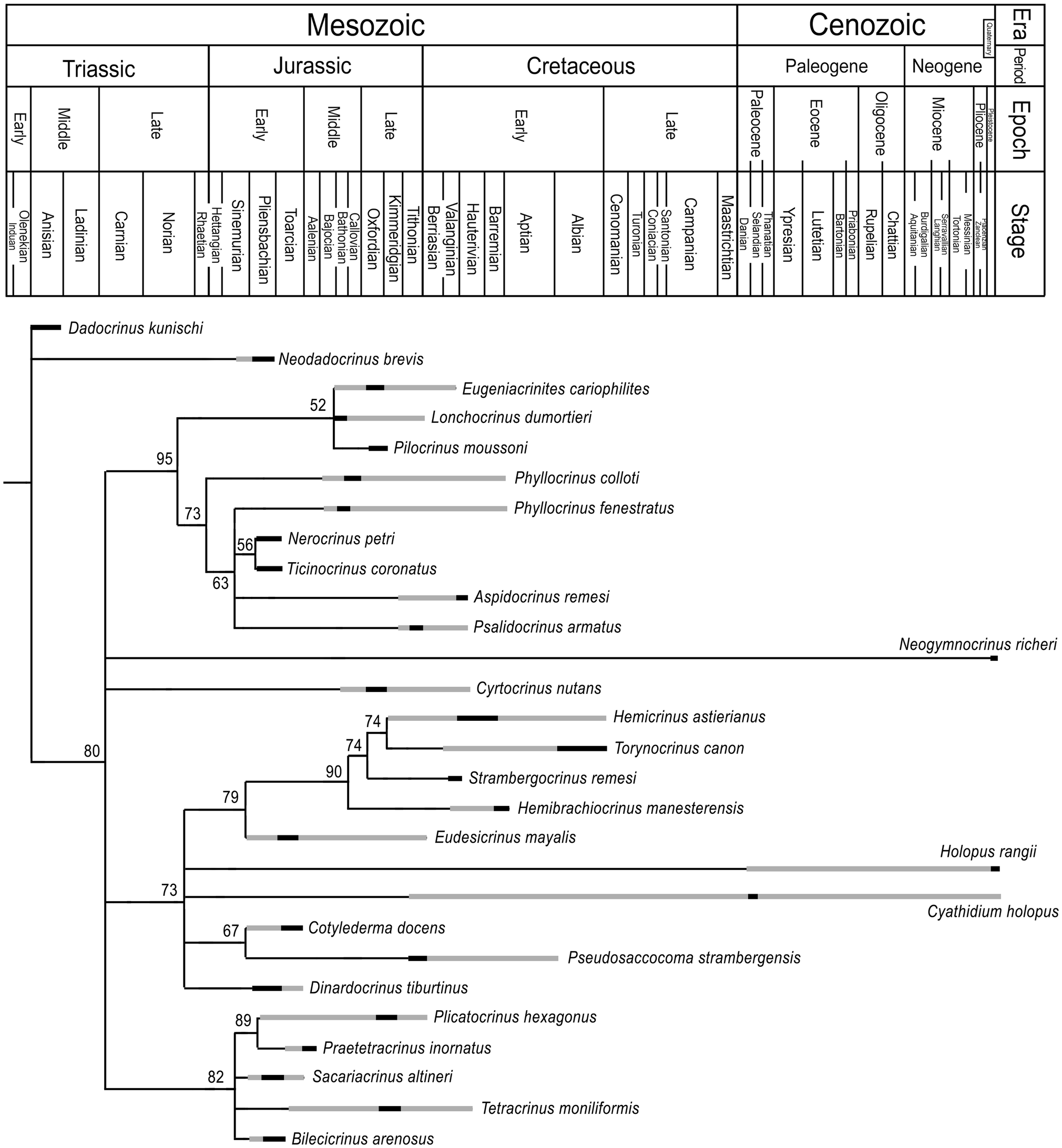 Fig. 2