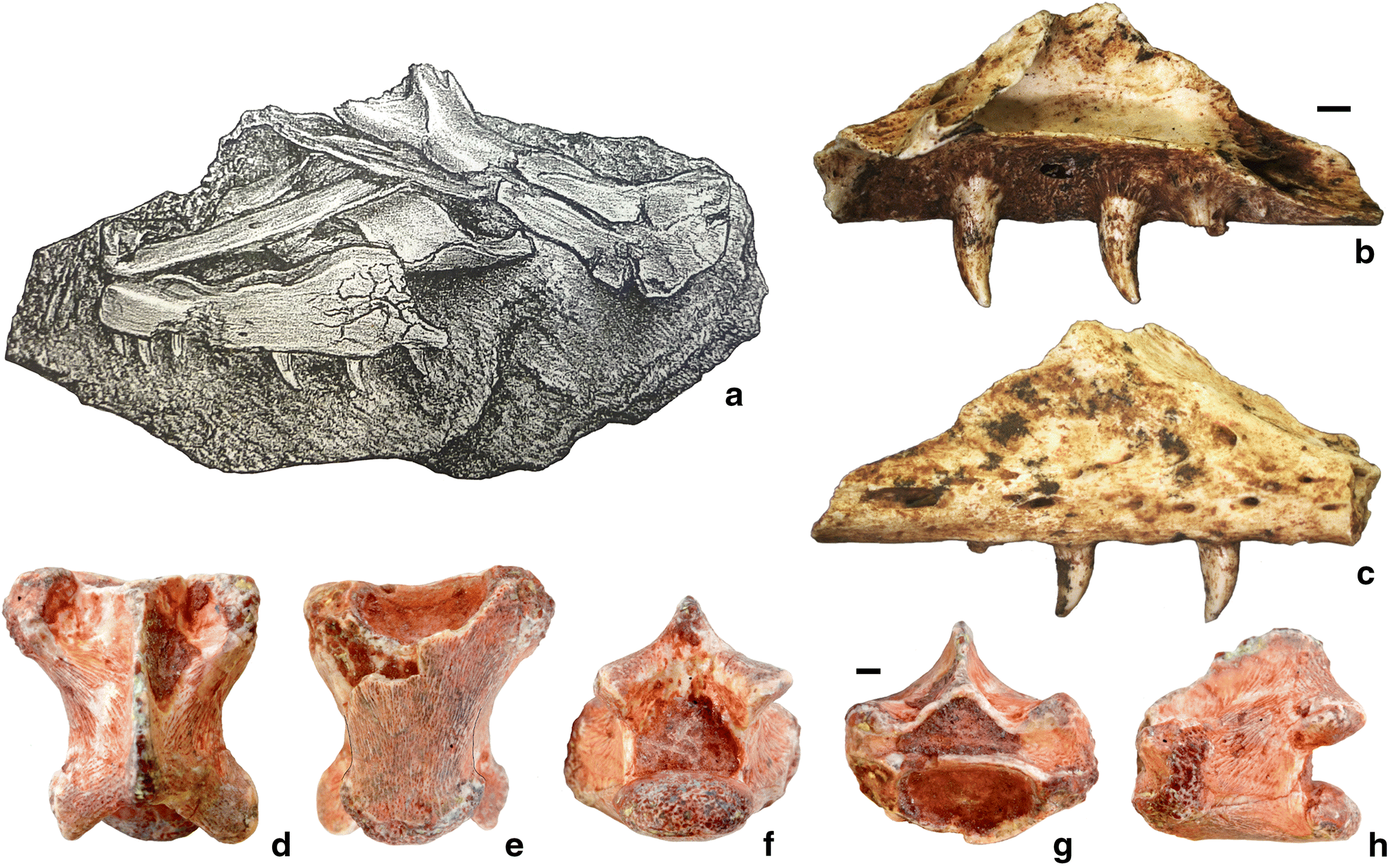 Fig. 11