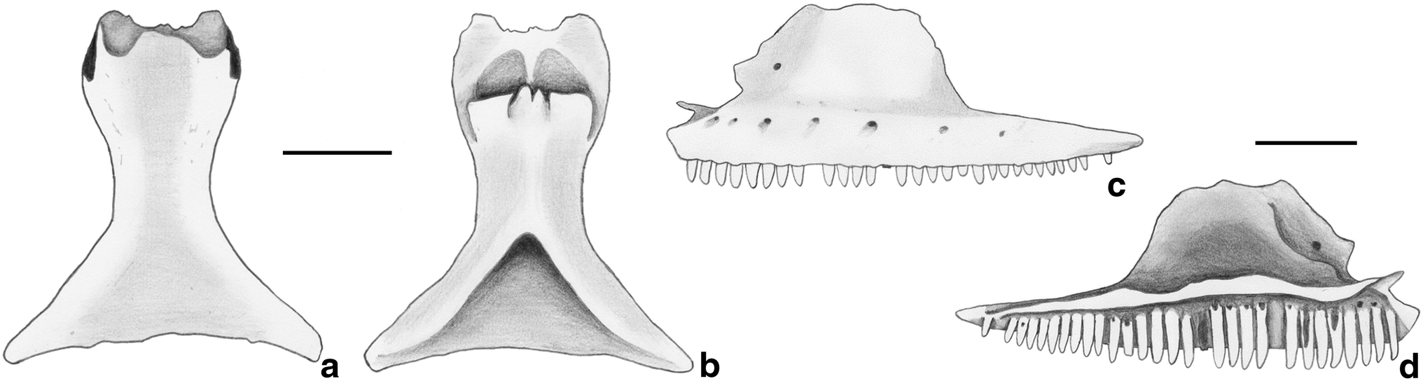 Fig. 6