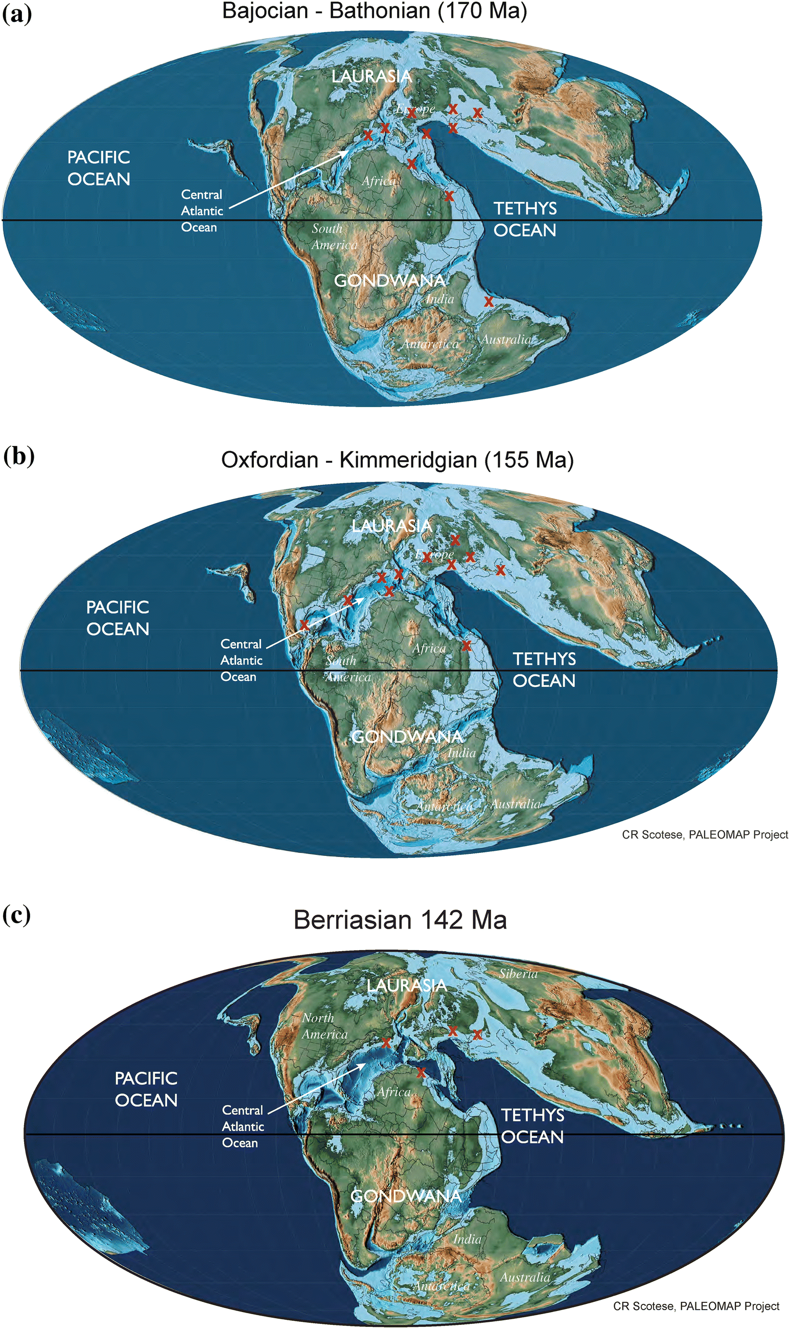 Fig. 12