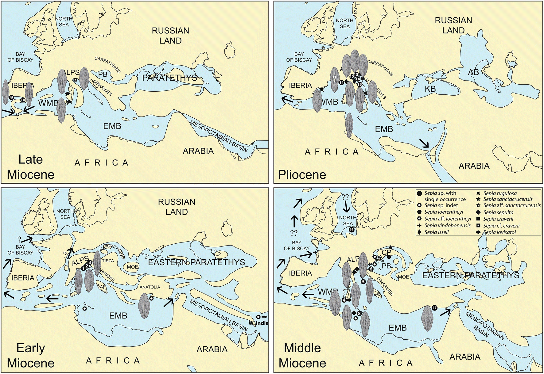 Fig. 5