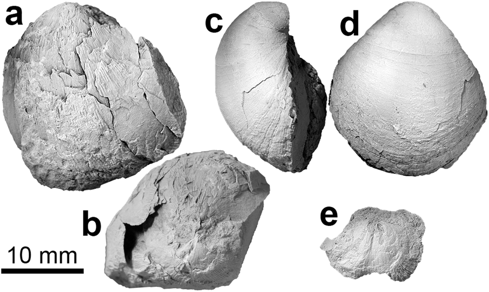 Fig. 3