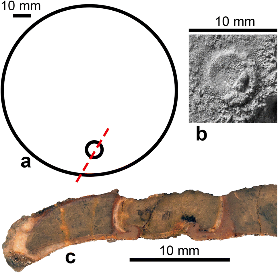 Fig. 6