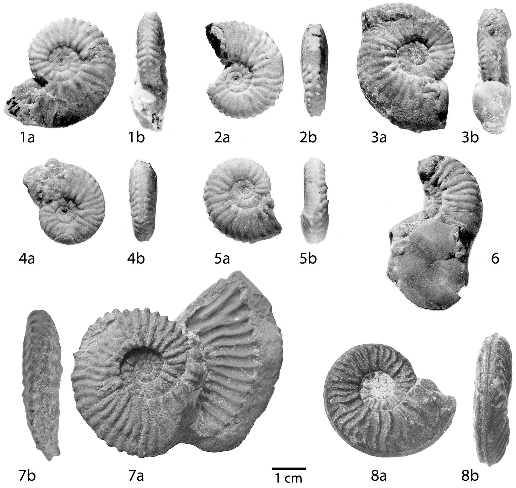 Fig. 3