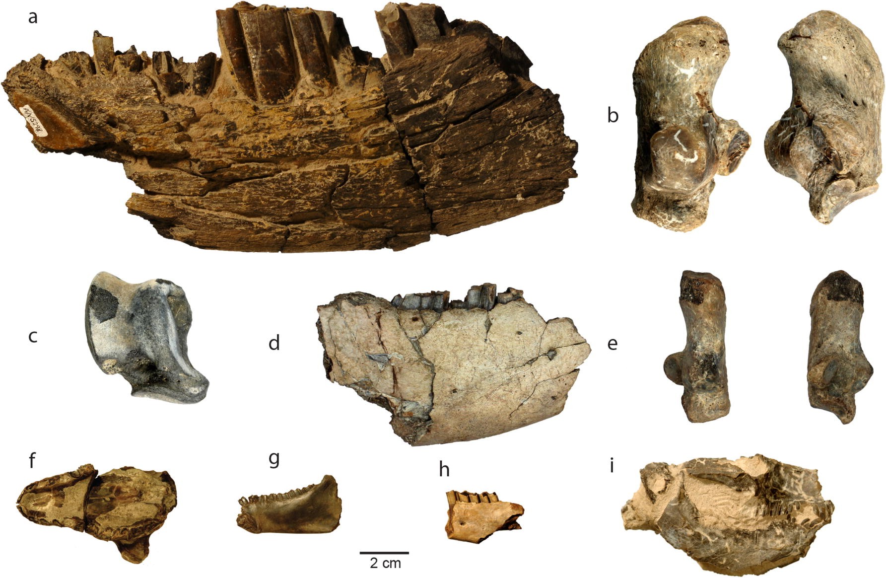 Fig. 5