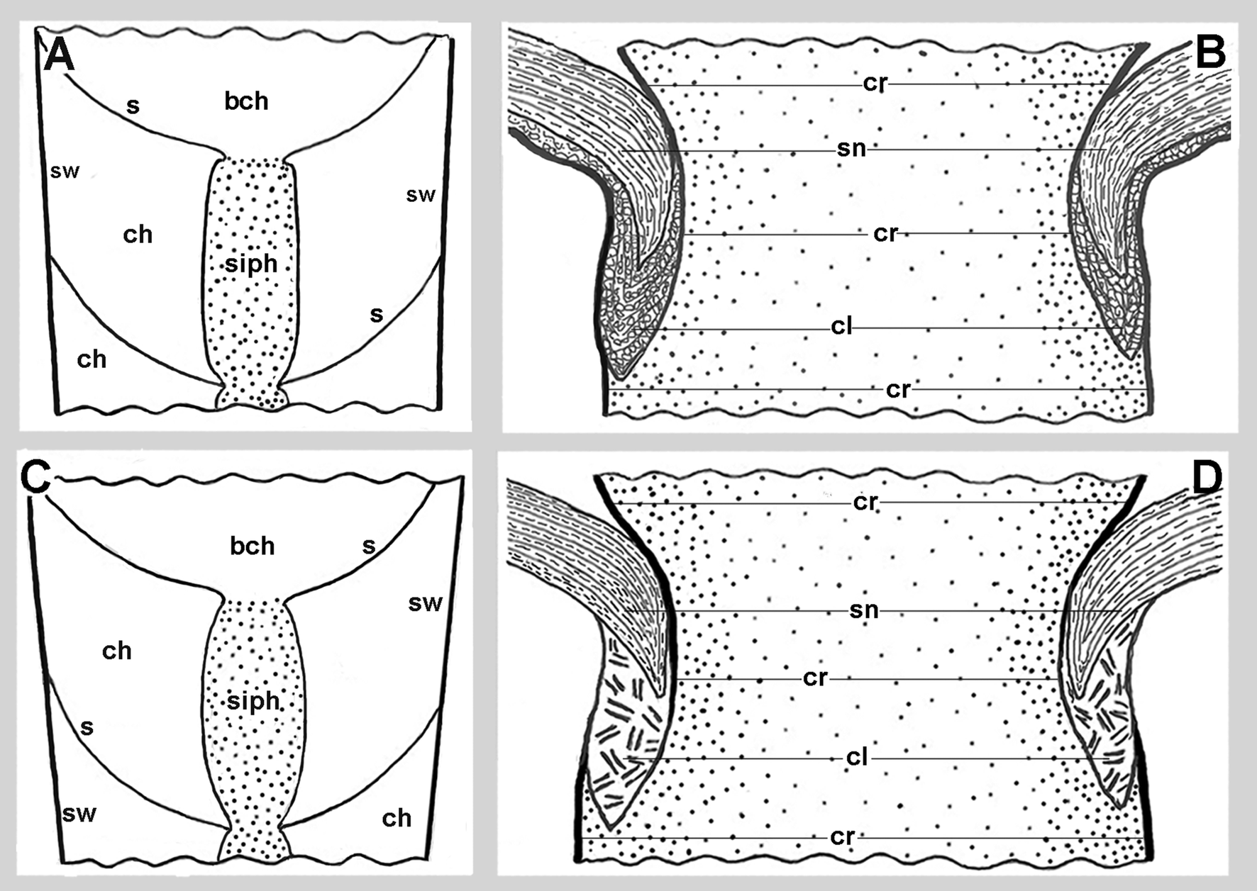 Fig. 10