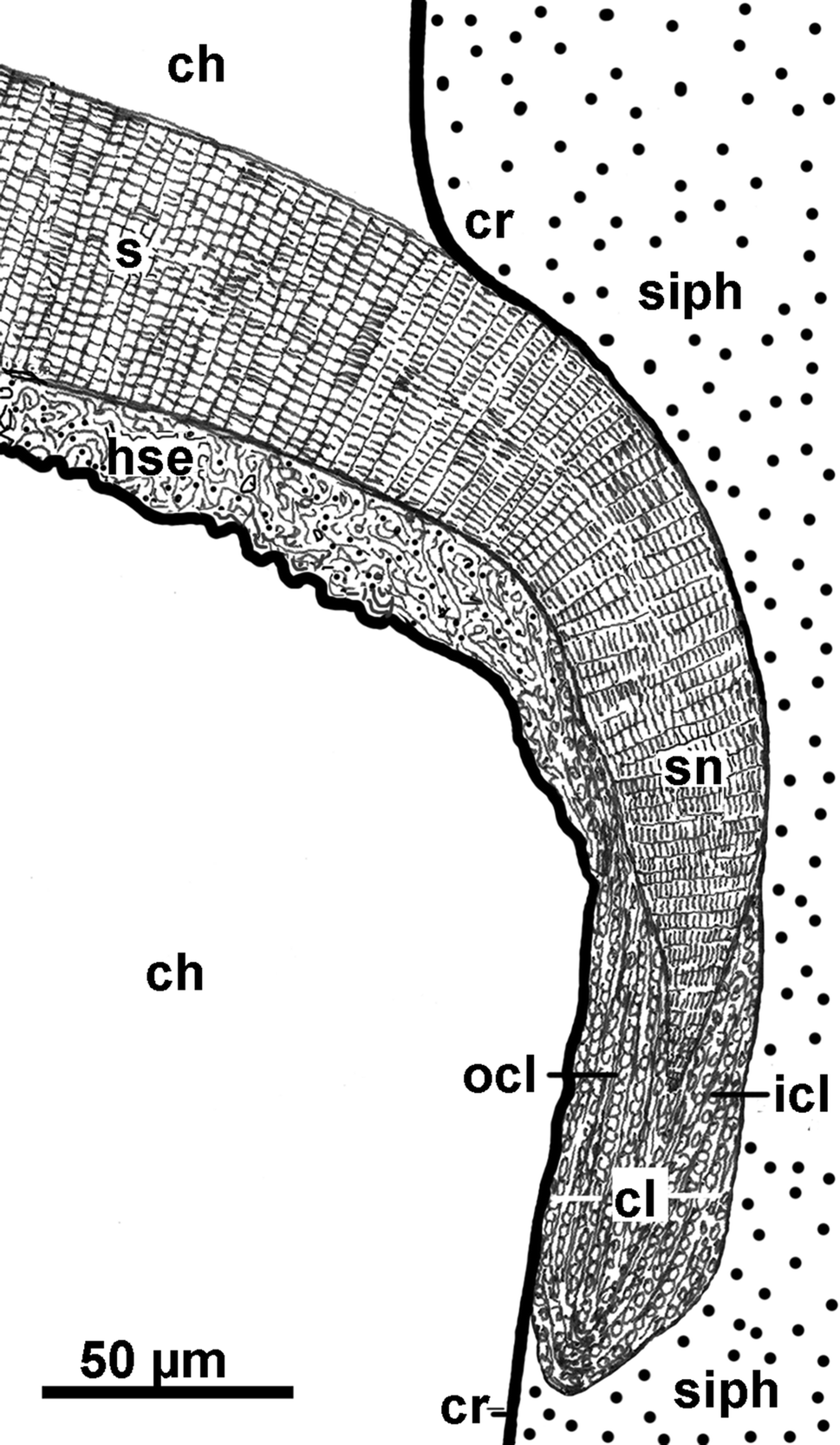 Fig. 9