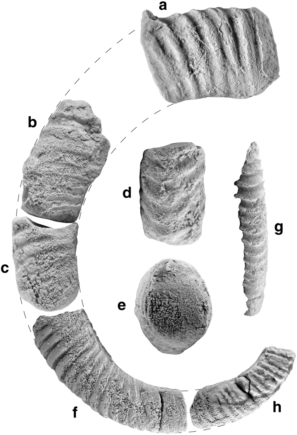 Fig. 8