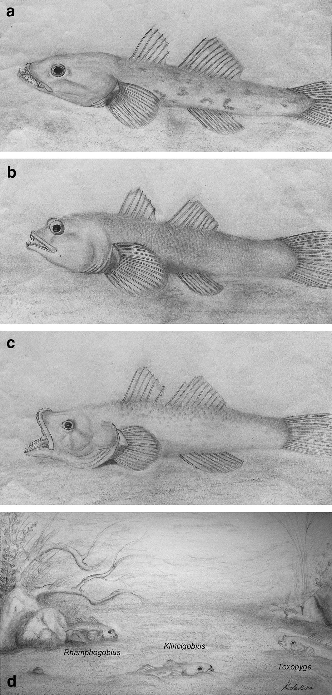 Fig. 13