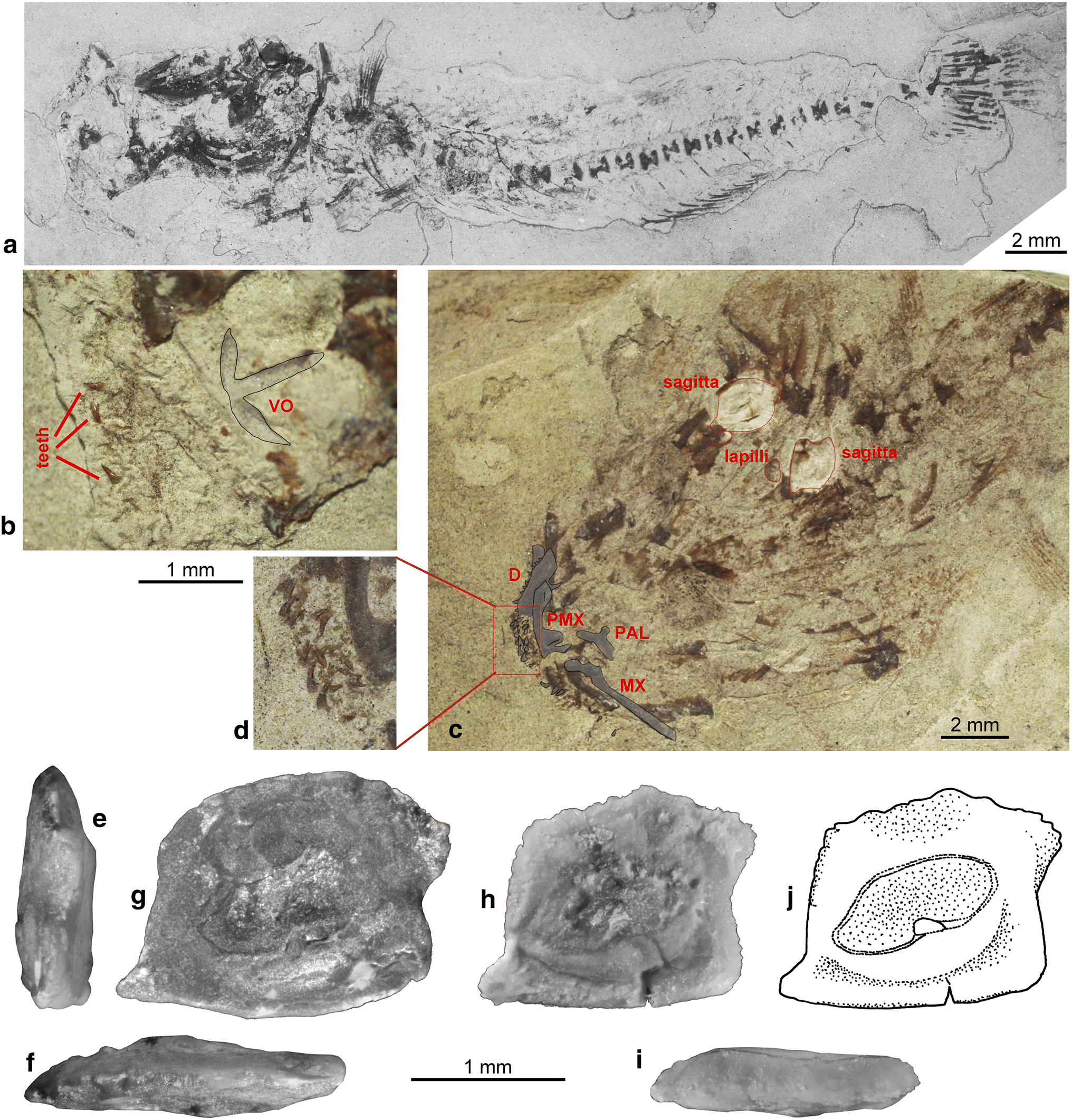 Fig. 6