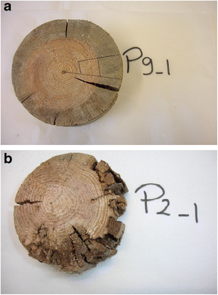 Fig. 9