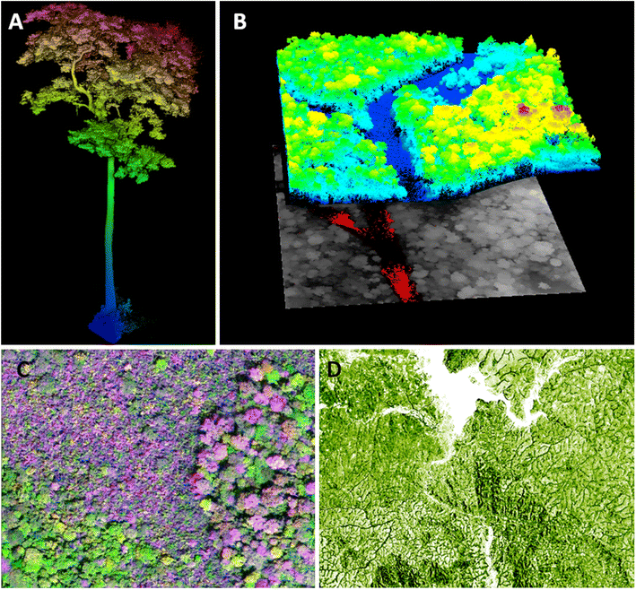 Fig. 1