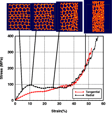 Fig. 13