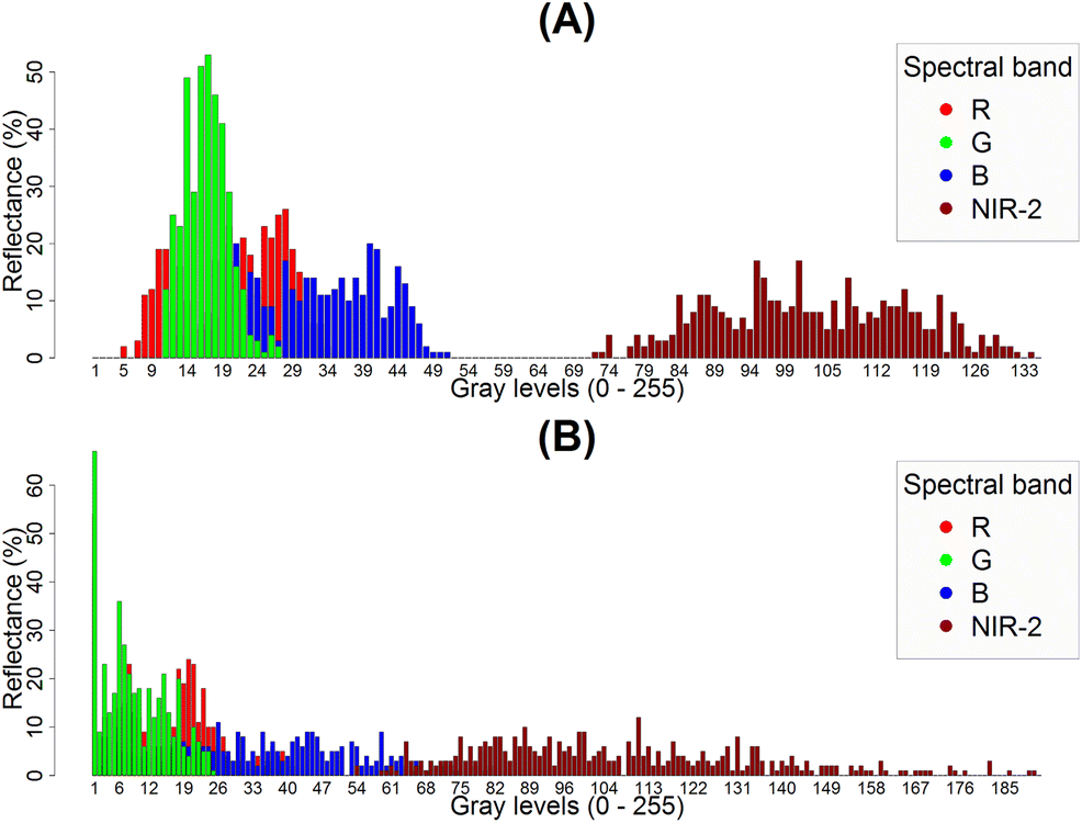 Fig. 6