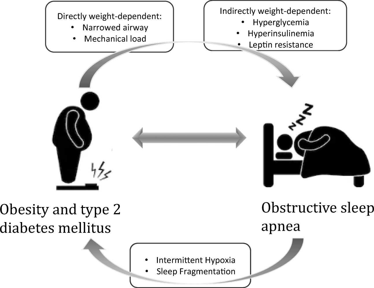 Figure 1 | Sleep Apnea, Obesity, And Disturbed Glucose Homeostasis:  Epidemiologic Evidence, Biologic Insights, And Therapeutic Strategies |  Springerlink