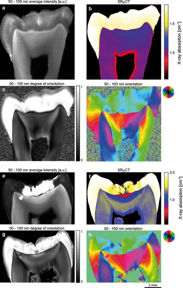 Fig. 4