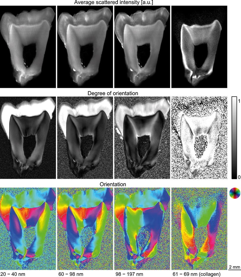 Fig. 7