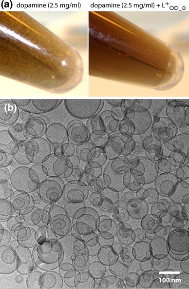 Fig. 5