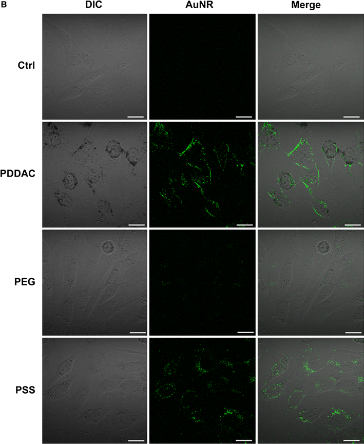 Fig. 4