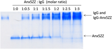 Fig. 2