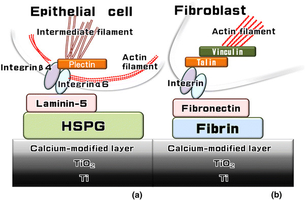 Fig. 6