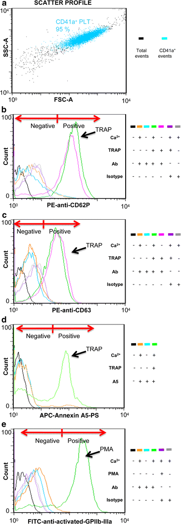 Fig. 1