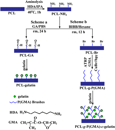 Scheme 1