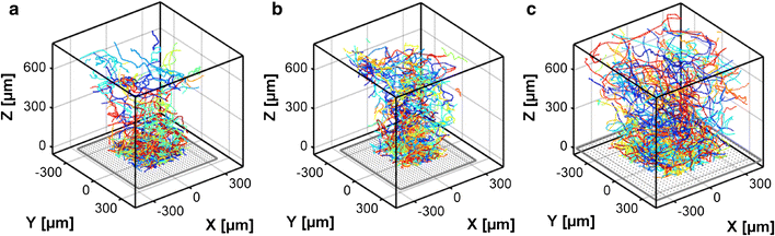 Fig. 2