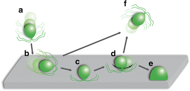 Fig. 7