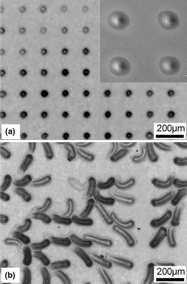 Fig. 3