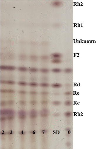 Fig. 6