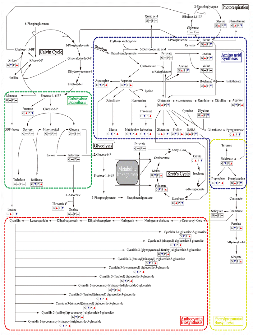 Fig. 3