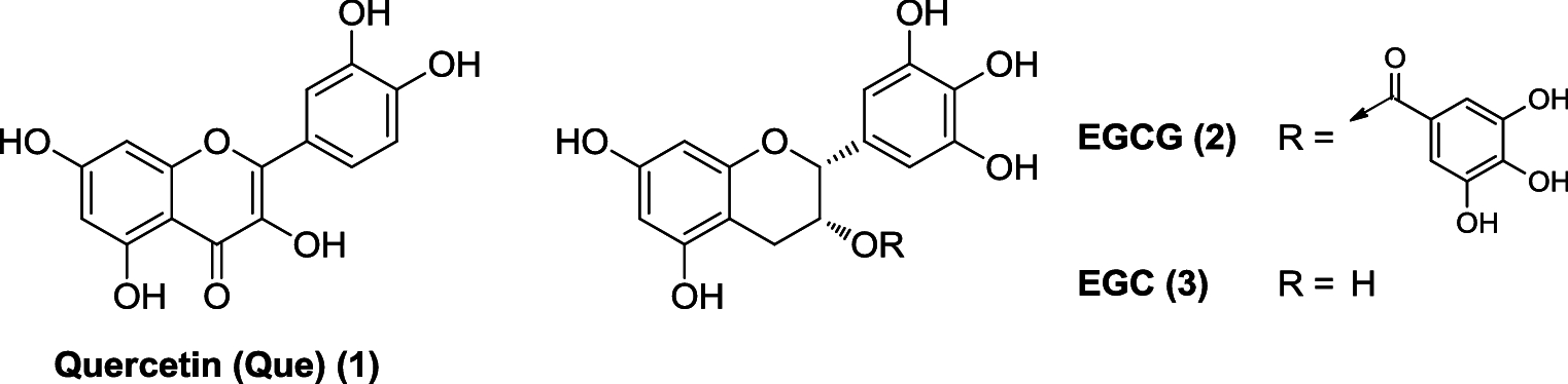 Fig. 1