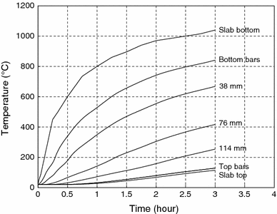 Fig. 10