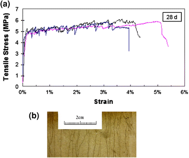 Fig. 10