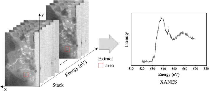 Fig. 4