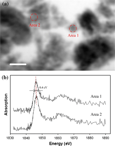 Fig. 6